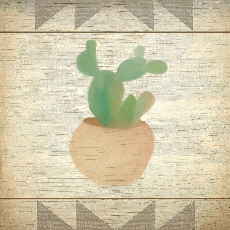 Picture of CACTUS 1