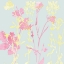 Picture of SUNSHINE PINK 2