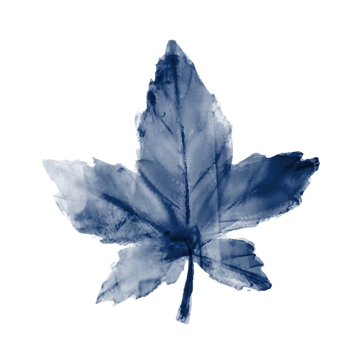 Picture of NAVY LEAF PRINT 1