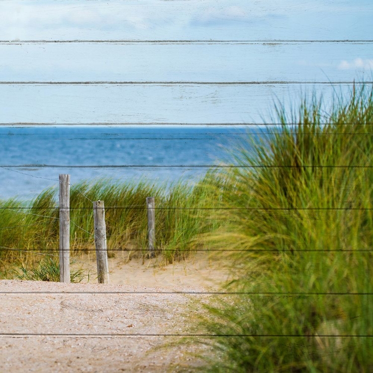 Picture of BEACH READY 4