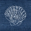 Picture of INDIGO SEA 4