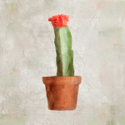 Picture of POTTED LIFE 1