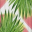 Picture of TROPICAL  LEAVES 1