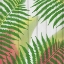 Picture of TROPICAL  LEAVES 2