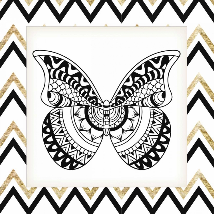 Picture of ZIG ZAG BUTTERFLY 1