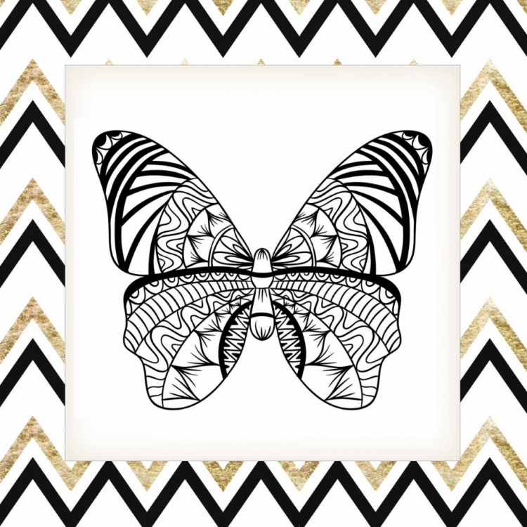 Picture of ZIG ZAG BUTTERFLY 3