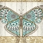 Picture of DAMASK BUTTERFLY TEAL 1