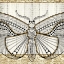 Picture of DAMASK BUTTERFLY 3