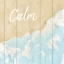 Picture of SEASIDE  CALM