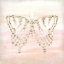 Picture of BUTTERFLY SCRIPT 3