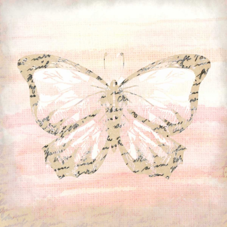 Picture of BUTTERFLY SCRIPT 4