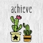 Picture of CACTI C