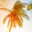 Picture of BRIGHT PALM 1