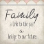 Picture of FAMILY BEGINS 2