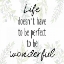 Picture of LIFE
