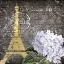 Picture of PARIS IN SPRING 1