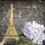 Picture of PARIS IN SPRING 1