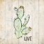 Picture of WATERCOLOR CACTUS LIVE
