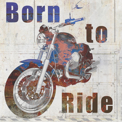 Picture of BORN TO RIDE