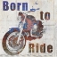 Picture of BORN TO RIDE