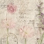 Picture of CARTE POSTAL FLORALS 2