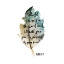 Picture of PSALM LEAF 4