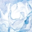 Picture of BLUE ROSE
