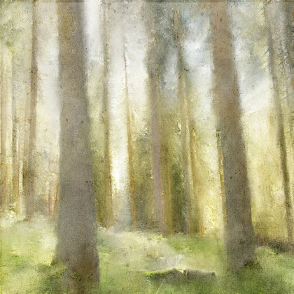 Picture of FOREST DAYS
