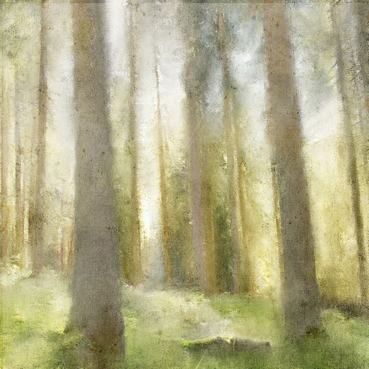 Picture of FOREST DAYS