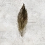 Picture of IMPRINT 3