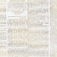 Picture of NEWSPAPER CHRISTMAS  PATTERN 2