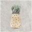Picture of POTTED SUCCULENTS 1