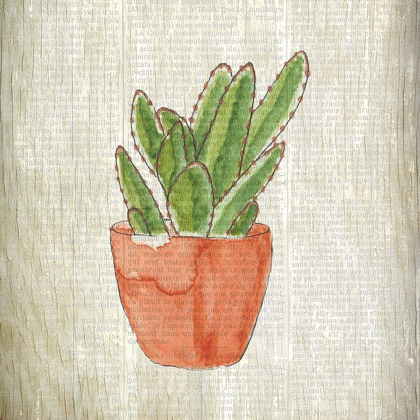 Picture of SPRING CACTUS 1