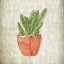 Picture of SPRING CACTUS 1