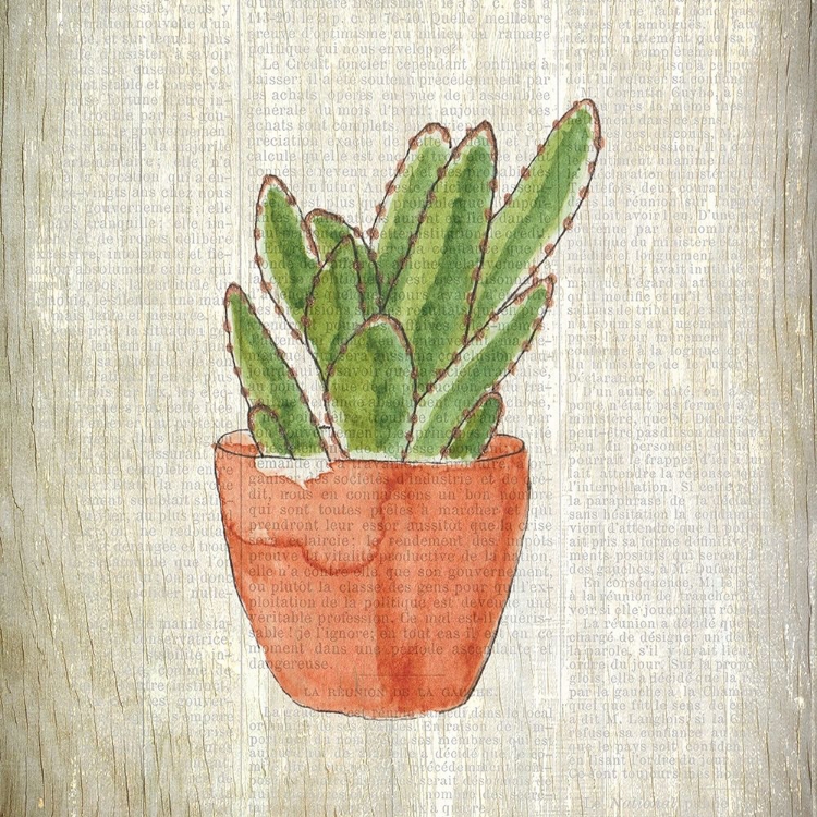 Picture of SPRING CACTUS 1