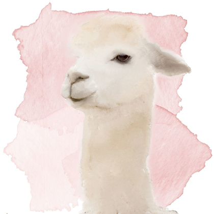 Picture of WATERCOLOR LLAMA