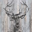 Picture of CABIN RULES 2