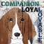 Picture of COMPANION 1
