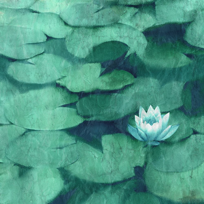 Picture of LOTUS BLOSSOM