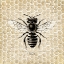 Picture of HONEYCOMB NO 24