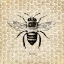 Picture of HONEYCOMB NO 40