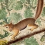 Picture of CHIPMUNK SQUARE 2