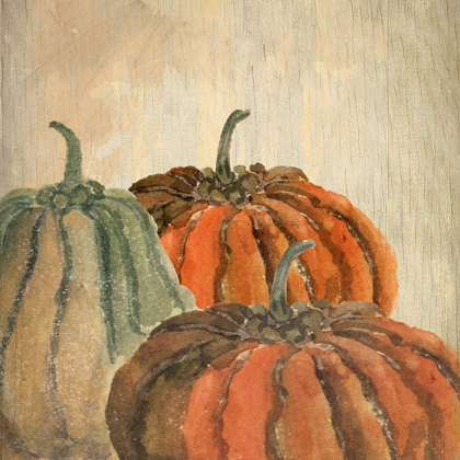 Picture of FALL PUMPKINS