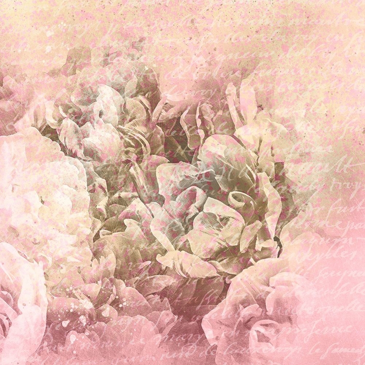 Picture of BLUSH AND GOLD 1