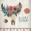 Picture of WILD DREAM FREE 1