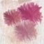 Picture of POM POMS 2