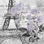 Picture of PARIS SCRIPT PURPLE 1