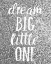 Picture of DREAM BIG