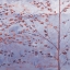 Picture of LAVENDER MOMENTS 2