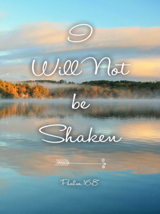 Picture of NOT BE SHAKEN